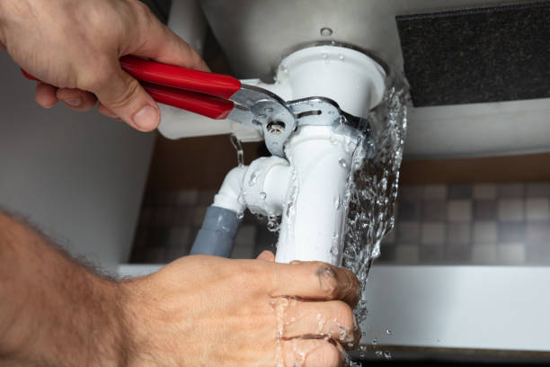 Best Water damage restoration mold remediation  in Lagrange, OH