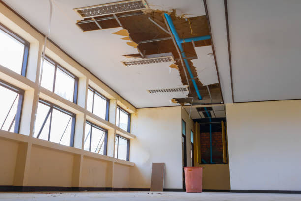 Best Residential water damage restoration  in Lagrange, OH