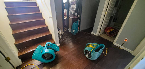 Best Flood damage cleanup  in Lagrange, OH