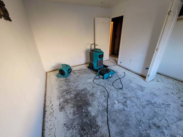 Best Carpet water damage restoration  in Lagrange, OH