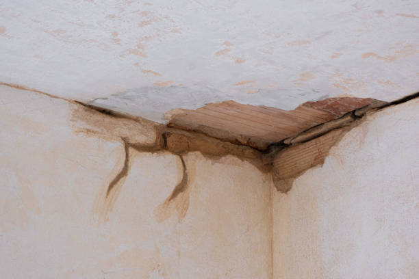 Best Water damage restoration specialists  in Lagrange, OH