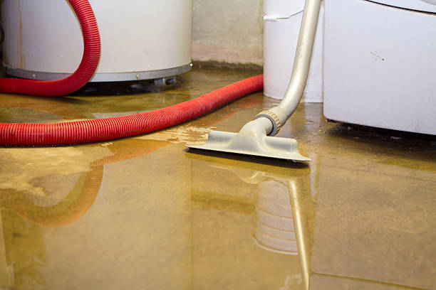 Best Emergency water damage restoration  in Lagrange, OH