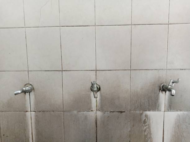 Best Water damage contractors near me  in Lagrange, OH