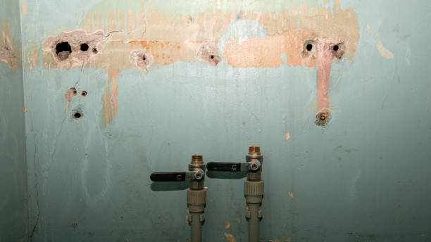 Best Commercial water damage restoration  in Lagrange, OH