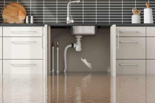 Best Fire Damage Restoration  in Lagrange, OH