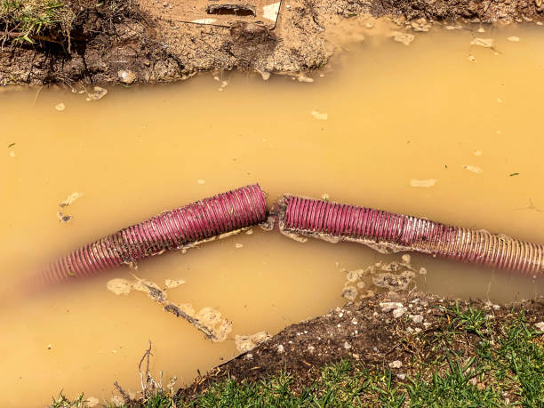 Best 24/7 water damage repair  in Lagrange, OH