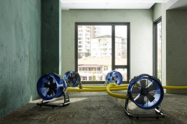Best Fire Damage Restoration  in Lagrange, OH