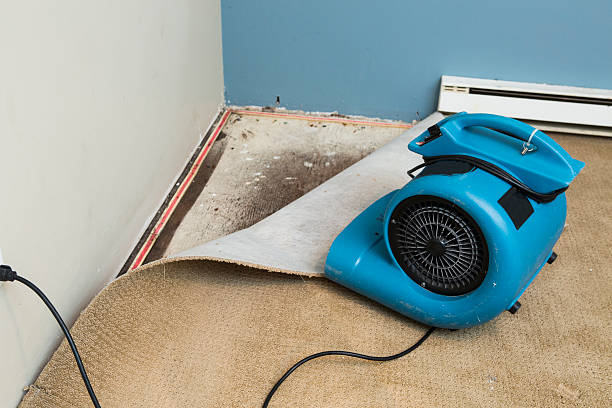 Best 24-hour water damage restoration  in Lagrange, OH